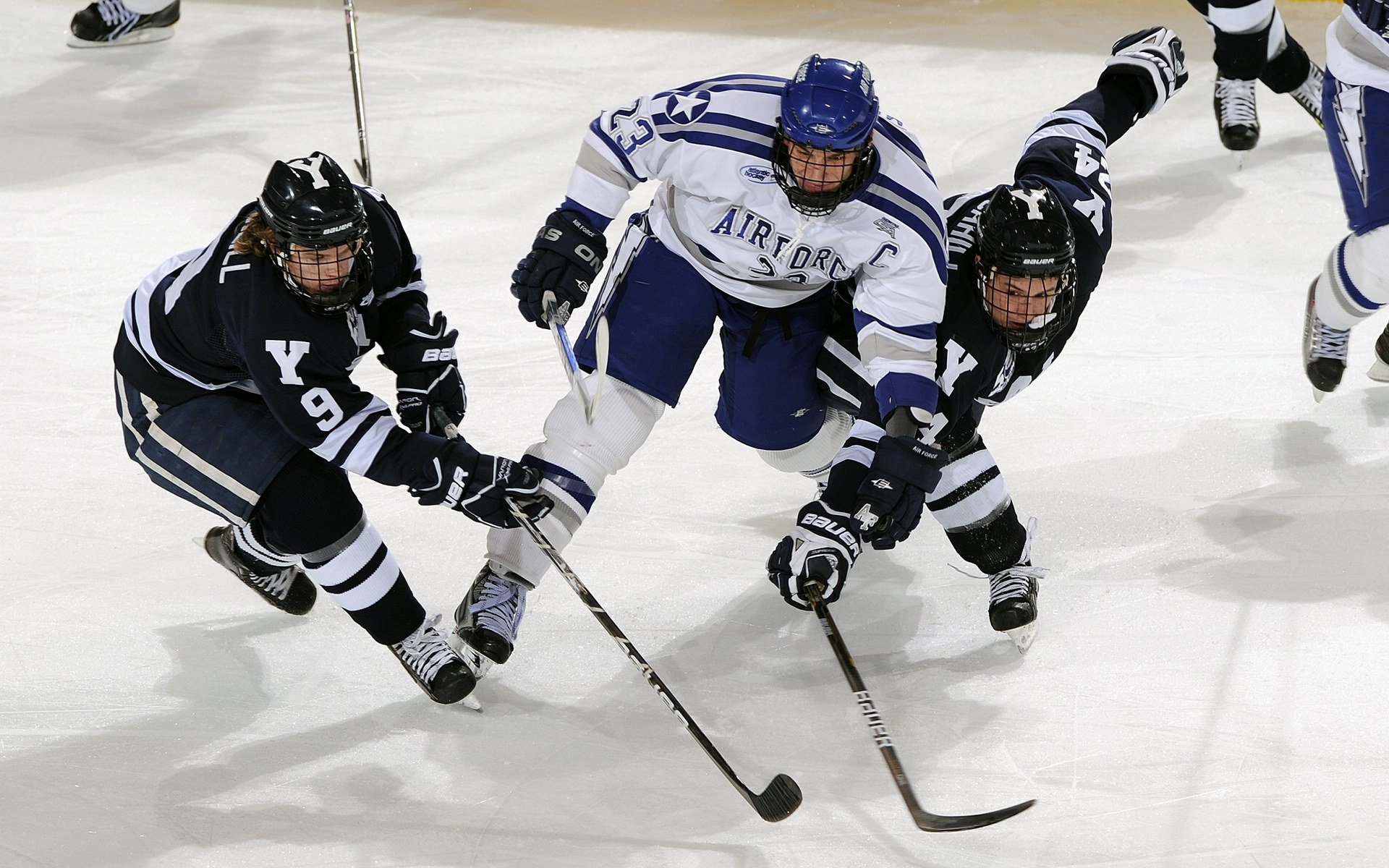 联盟体育精神：赛场上“公平竞争”的真实写照，体育竞赛公平竞争原则